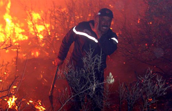 الجزائر: إخماد جميع الحرائق المندلعة في عدة ولايات شمالي البلاد