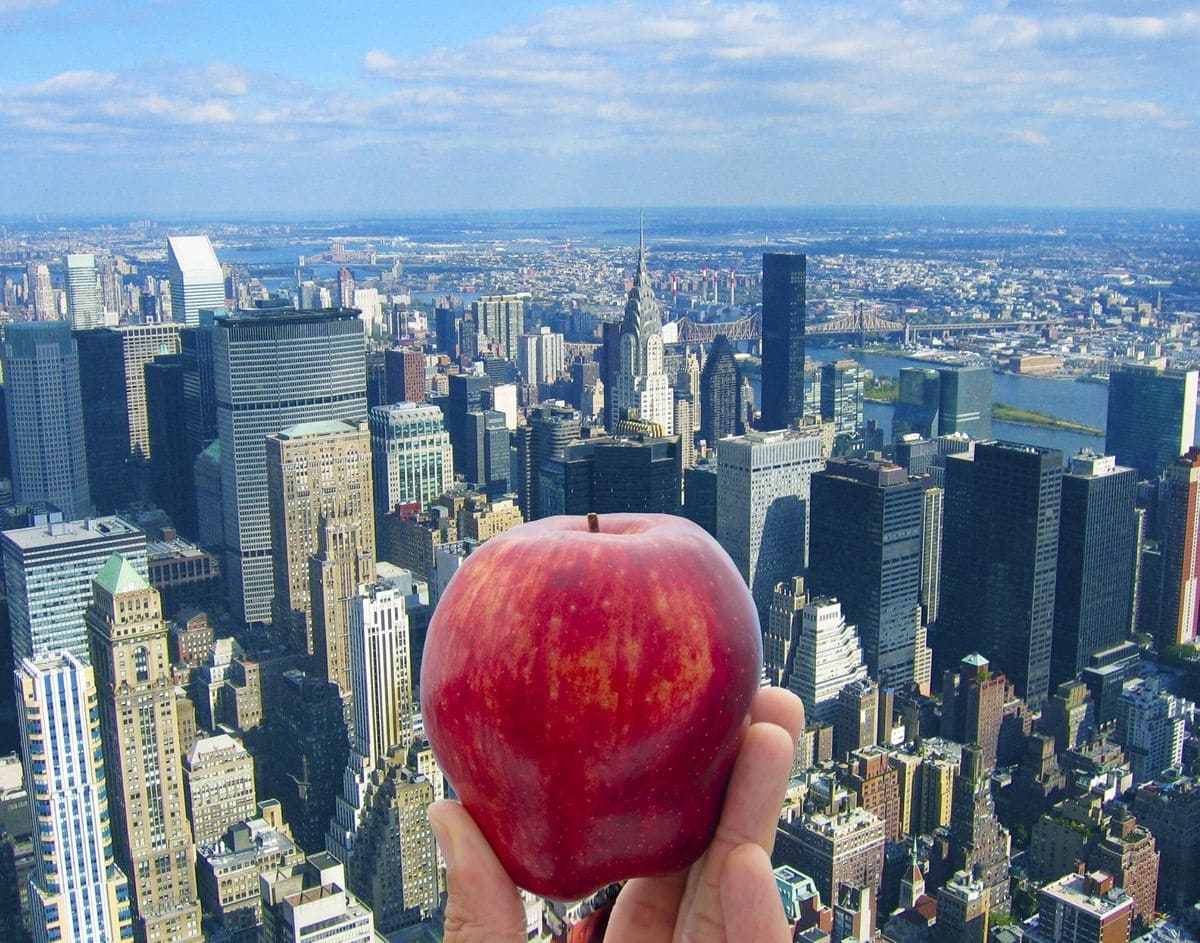 «التفاحة الكبيرة».. رحلة فى تاريخ نيويورك