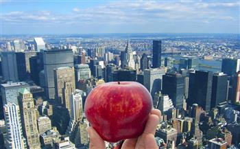   «التفاحة الكبيرة».. رحلة فى تاريخ نيويورك