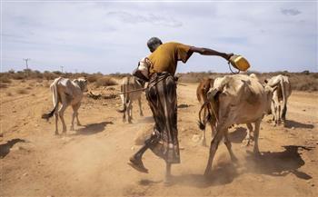   برنامج الأغذية العالمي: المجاعة تتهّدد 22 مليون شخص على الأقل في القرن الإفريقي