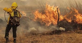   جهود مكثفة للجيش اللبناني والدفاع المدني لإخماد حريق في غابات صنوبر بجبل لبنان