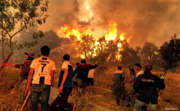   خبير جزائري: الحرائق طالت 10% من حديقة تابعة للأمم المتحدة