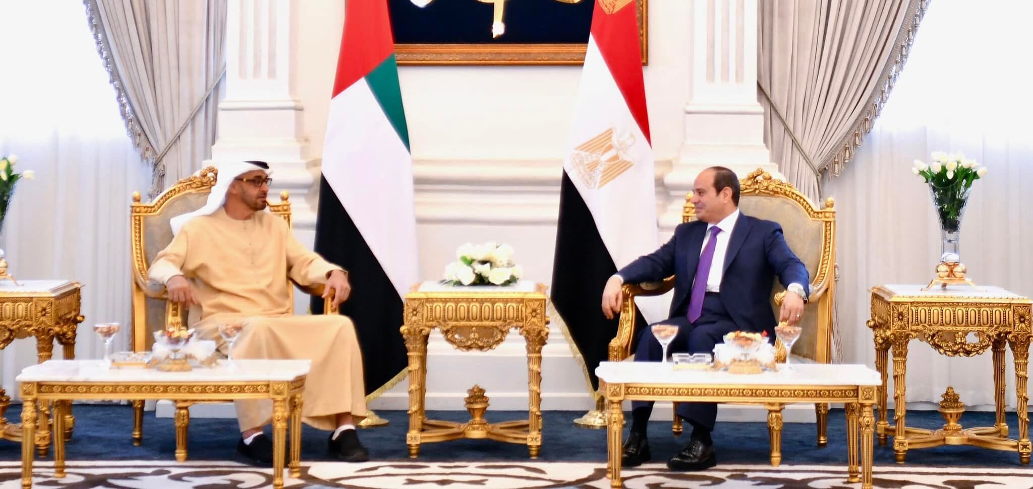 السيسي يبحث مع رئيس دولة الإمارات سبل تعزيز العمل العربي المشترك