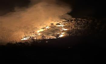   حريق هائل يتجدد في أحراج بسكنتا اللبنانية