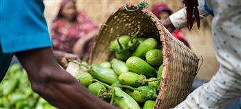   «الأغذية العالمي» يحذر من أزمة غذاء عالمية بسبب موجات الحر والجفاف والفيضانات