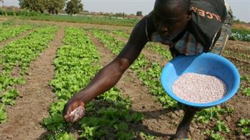   ارتفاع أسعار الأسمدة يهدد بإشعال أزمة غذاء في إفريقيا
