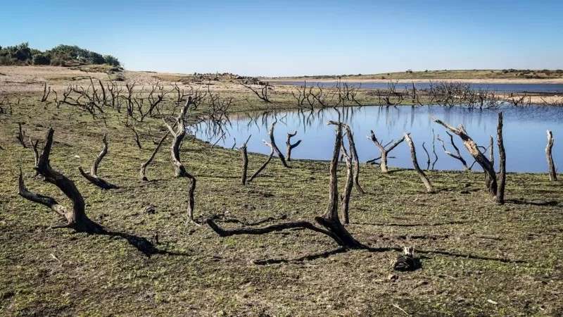 نقيب الزراعيين: 47% من أراضي أوروبا معرضة للجفاف