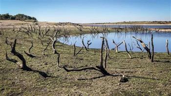   نقيب الزراعيين: 47% من أراضي أوروبا معرضة للجفاف