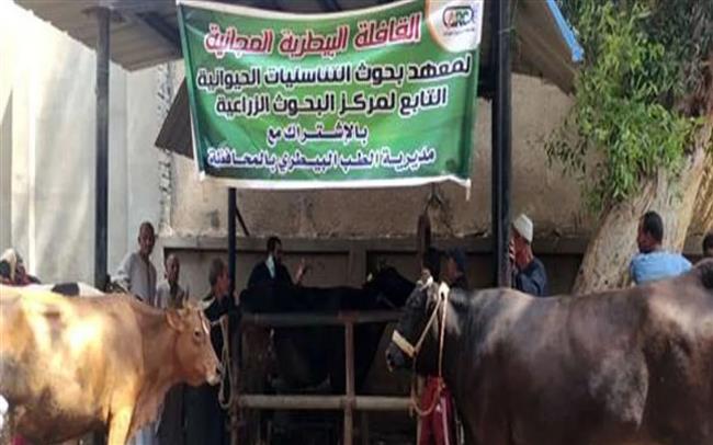 قافلة بيطرية مجانية لمعهد بحوث التناسليات الحيوانية