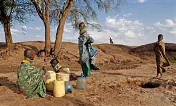  الأمم المتحدة: توقعات بجفاف مدمر في القرن الإفريقي