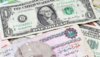 سعر الدولار يوم الأحد 28 - 8 - 2022