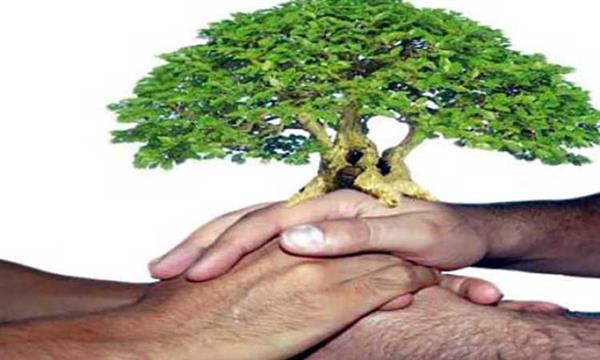 الإفتاء: صلة الأرحام من أفضل ما يتقرب به العبد إلى الله