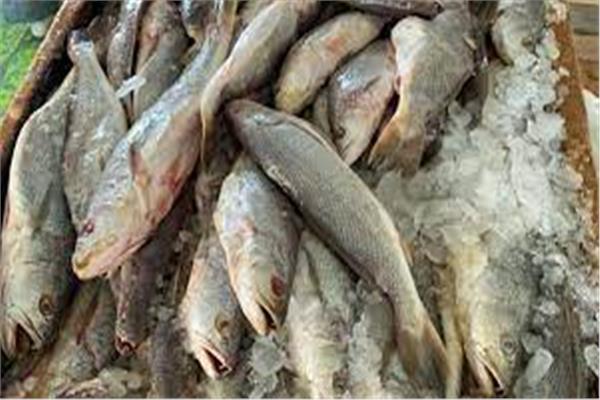 ضبط أكثر من طني أسماك مجمدة مجهولة المصدر بكفر الشيخ