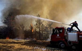   هيئة الغابات الفيدرالية الروسية: إخماد كل الحرائق في أقصى شرق البلاد