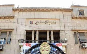   هل تضمن أصوات الإسكندرية والبحيرة والصعيد مقعد نقيب محامين مصر لـ «علام» أمام «عبد السلام» 