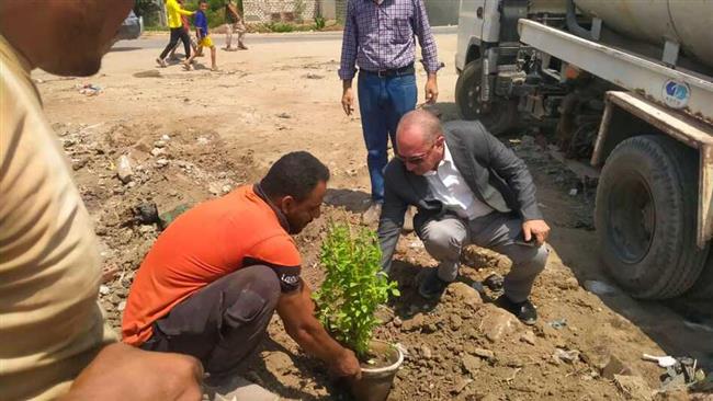 100 مليون شجرة.. زراعة أشجار مثمرة على جانبي الطريق الدائري وقرية الجزائر بسمالوط