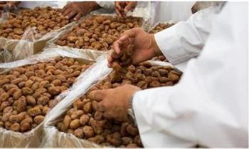   " الزراعة": مصر أكبر منتج للتمور بـ 18% من الإجمالي العالمي