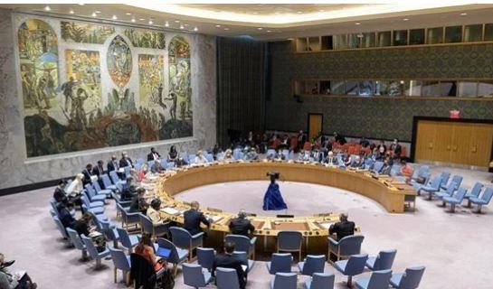 تعهد ياباني بدعم حصول أفريقيا على مقعد دائم في مجلس الأمن.. فيديو