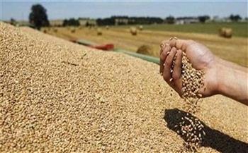   كندا تسهم بـ 40 مليون دولار لمعالجة نقص مخزون الحبوب في أوكرانيا