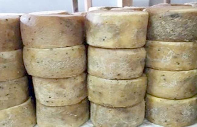 ضبط 160 قرص جبنه رومي بها تعفن بمركز دمنهور 