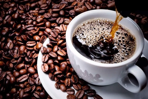«الغرف التجارية»: رغم ارتفاع أسعار القهوة مصر لديها مخزون مضمون