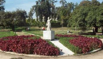 محافظة الاسكندرية: لا صحة لتجريف حديقة أنطونيادس بالإسكندرية وقطع الأشجار النادرة بها