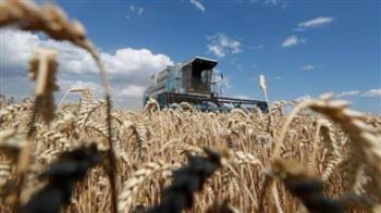   واشنطن ترحب بوصول شحنة من الحبوب الأوكرانية إلى جيبوتي