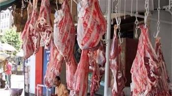 استقرار أسعار اللحوم فى الأسواق اليوم