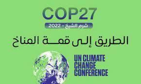 أستاذ تسويق بالجامعة المصرية اليابانية: «دراجون 2022» سيمثل مدخلات لمؤتمر cop 27