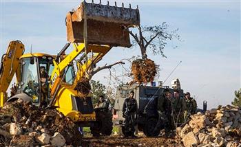   الاحتلال يقتلع 50 شجرة زيتون ويهدم بركسين في تقوع شرق بيت لحم