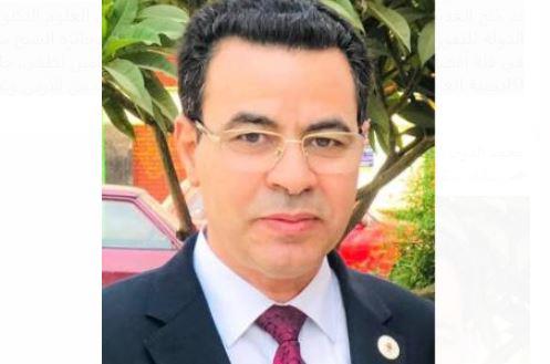 صقر يعلن فوز عبدالعاطي بمقعد نائب رئيس الإتحاد الأفريقي للرياضيات