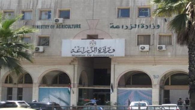 الزراعة: نتعامل بقوة وحسم مع الزيادات غير المبررة في الأسعار