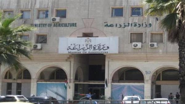 الزراعة: نتعامل بقوة وحسم مع الزيادات غير المبررة في الأسعار