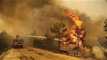   فرق الإطفاء تواصل جهودها لإخماد حريق غابات غربى تركيا