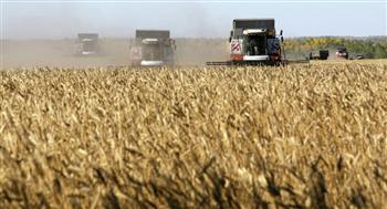   وزير الزارعة الروسي يرجح تقليص بلاده صادرات الحبوب هذا العام