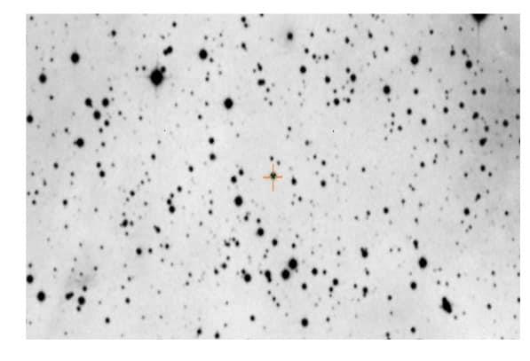 «القومي للبحوث الفلكية» يكتشف نجم متغير جديد