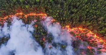 حماية الغابات الروسية: احتراق أكثر من 143 ألف هكتار من الأراضى خلال 24 ساعة