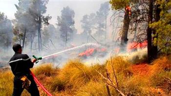   الناتو يدعم جهود الدول الأعضاء في مكافحة حرائق الغابات