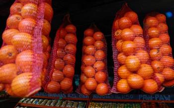   «لا تريبيون»: أطنان من البرتقال الجنوب إفريقي عالقة في الموانئ الأوروبية