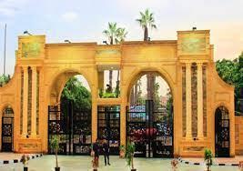 القائم بأعمال رئيس جامعة المنصورة: استراتيجيتنا تحسين جودة الخريج وتحقيق تنافسية