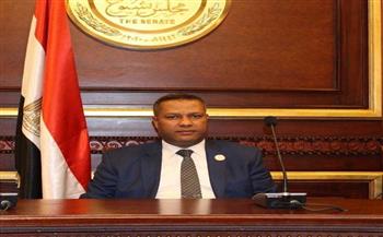   برلمانى: التاريخ يشهد على دور مصر البارز في دعم القضية الفلسطينية