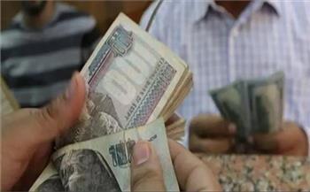 البنك المركزي: المصريون أنفقوا 20 مليار جنيه نقدًا في عيد الأضحى