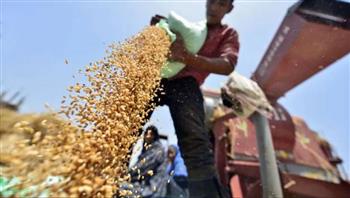   وزير التموين: انتهاء موسم توريد القمح المحلي وسداد كافة مستحقات ‏المزارعين