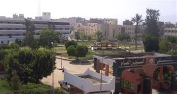 أسماء 15 مصابًا إثر انقلاب ميكروباص على طريق القطامية- السخنة