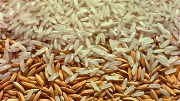 " تموين كفر الشيخ": استلام أكثر من 87 طن أرز شعير بـ 21 موقعا