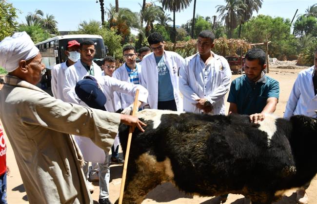 ضمن مبادرة حياة كريمة.. جامعة سوهاج تواصل قوافلها البيطرية المجانية بقرية الشيخ مسعود