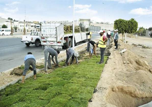 محافظا الغربية والمنيا: مبادرة «100 مليون شجرة» تأتي ضمن رؤية أهداف التنمية المستدامة
