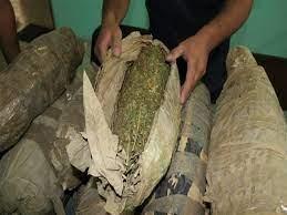 تفاصيل سقوط عصابة البانجو فى أطفيح