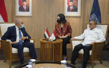   السفير المصري في جاكرتا يلتقي وزير التجارة الأندونيسي