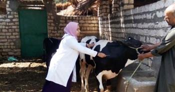   تحصين أكثر من 112 ألف رأس ماشية ضد الأمراض الوبائية ببني سويف
